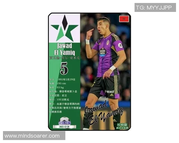 摩洛哥足球明星介绍及其在国际赛场上的精彩表现分析