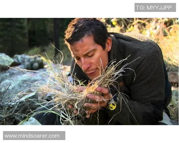 贝爷与足球明星颜值的完美碰撞探讨他们的魅力与风采 贝爷与足球明星颜值的完美碰撞探讨他们的魅力与风采