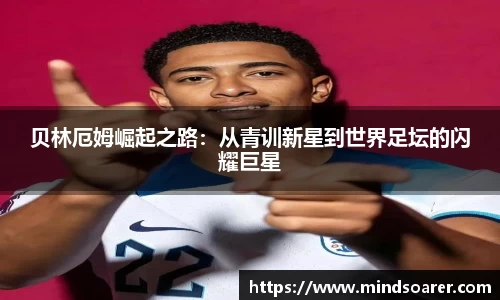 快盈VIII官网